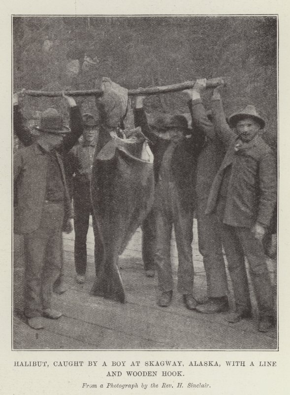 Flétan, pêché par un garçon à Skagway, Alaska, avec une ligne et un hameçon en bois - English Photographer