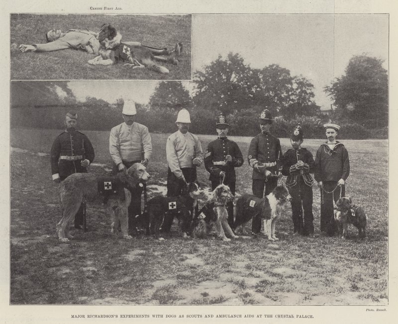 Les expériences du Major Richardson avec des chiens comme éclaireurs et aides ambulanciers au Crystal Palace - English Photographer