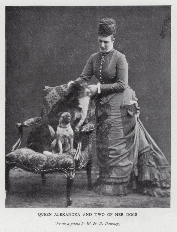 Reine Alexandra et deux de ses chiens - English Photographer