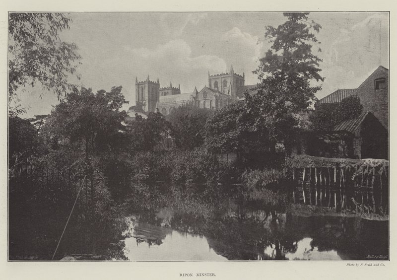 Minster de Ripon - English Photographer