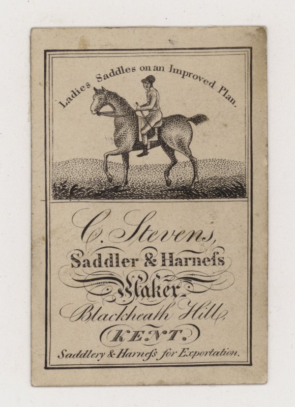 Saddler et Harness Maker, C Stevens, carte de visite - English Photographer
