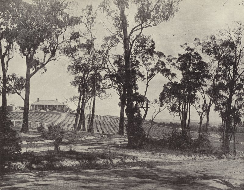 Scène sur la route de Gembrook, Victoria - English Photographer
