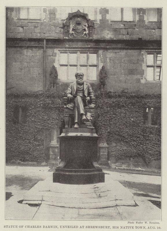 Statue de Charles Darwin, dévoilée à Shrewsbury, sa ville natale, le 10 août - English Photographer
