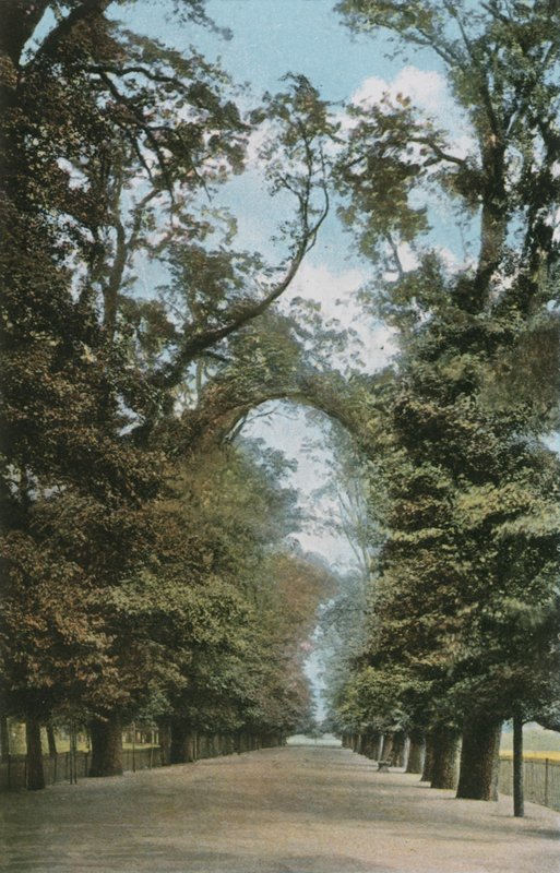 La Grande Allée - English Photographer