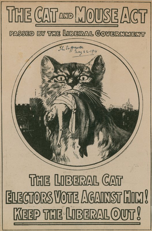 La Loi du Chat et de la Souris - English Photographer
