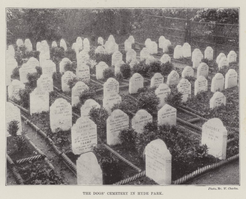 Le cimetière des chiens à Hyde Park - English Photographer