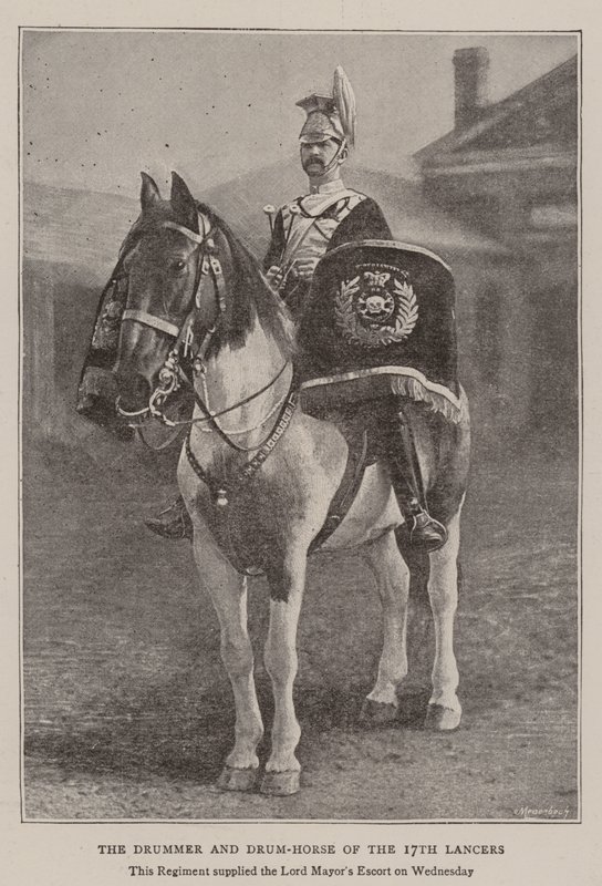 Le Tambour et le Cheval-Tambour du 17e Lanciers - English Photographer