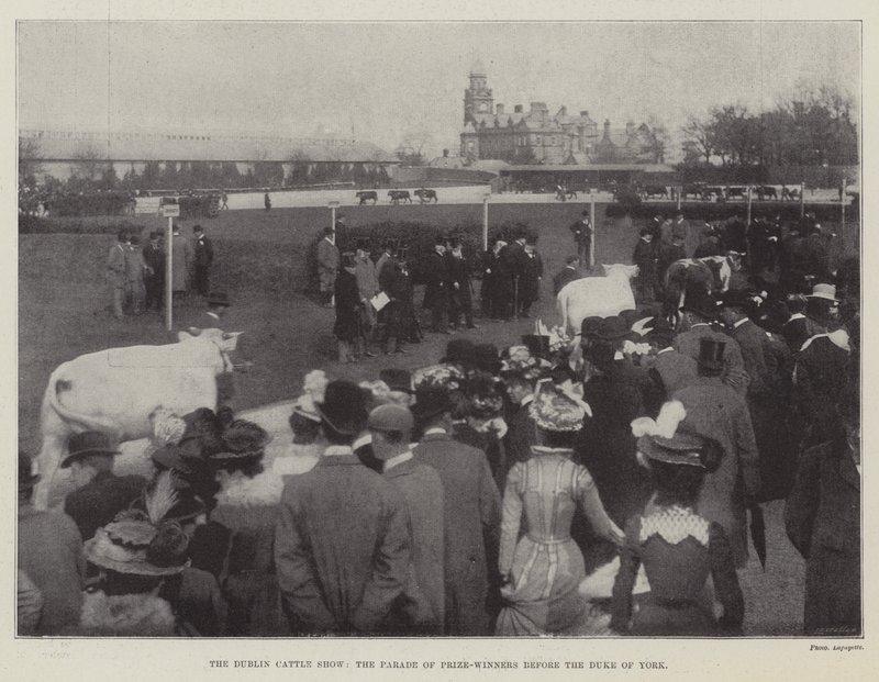 Le salon du bétail de Dublin, le défilé des lauréats devant le duc d