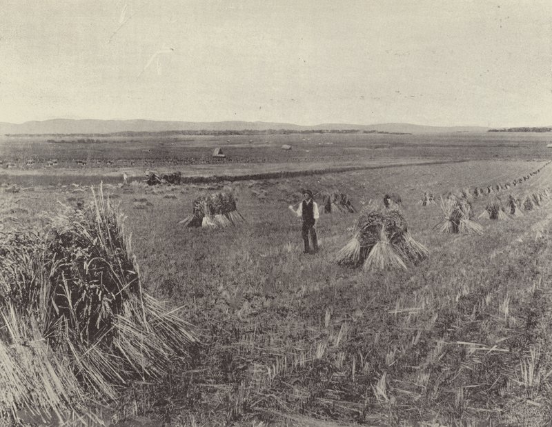 La ferme des collines vertes - English Photographer