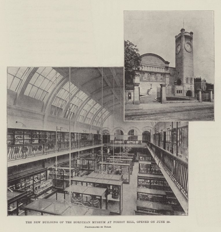 Le nouveau bâtiment du musée Horniman à Forest Hill, ouvert le 29 juin - English Photographer