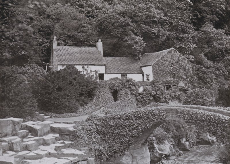 Le vieux moulin, Jesmond Dene - English Photographer