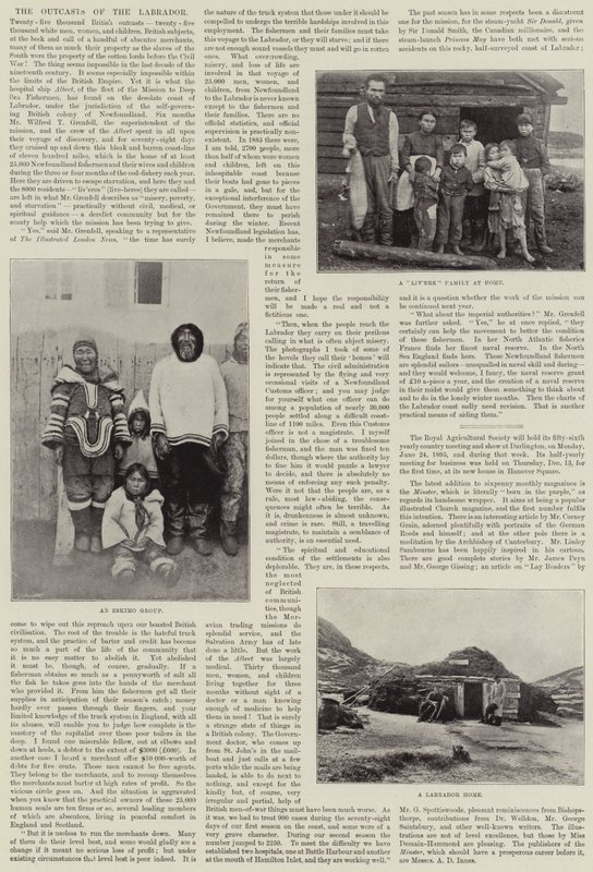 Les parias du Labrador - English Photographer
