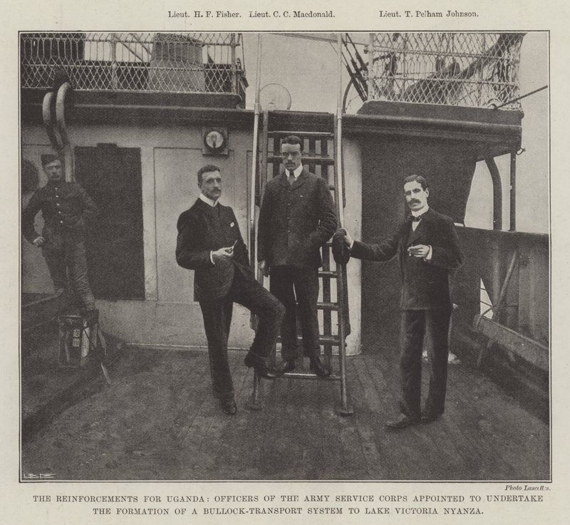 Les renforts pour l