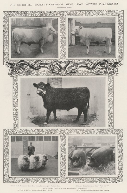 Le Christmas Show de la Smithfield Society, quelques lauréats notables - English Photographer