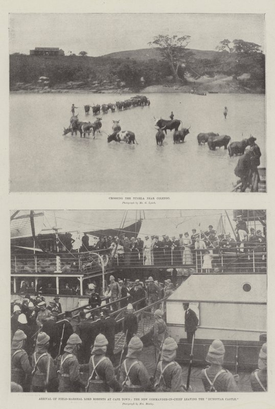 La guerre au Transvaal - English Photographer