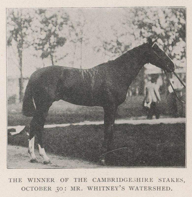 Le gagnant des Cambridgeshire Stakes, 30 octobre, Watershed de M. Whitney - English Photographer