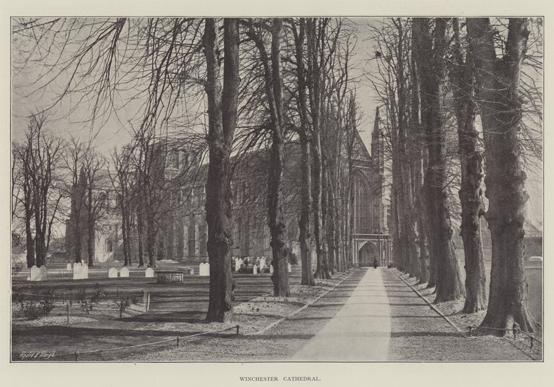Cathédrale de Winchester - English Photographer