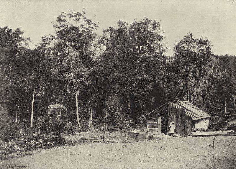Cabane de bûcheron, Knysna - English Photographer