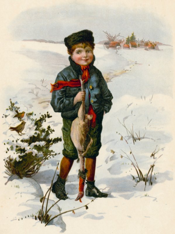 Un oiseau dans la main vaut mieux que deux dans le buisson - English School