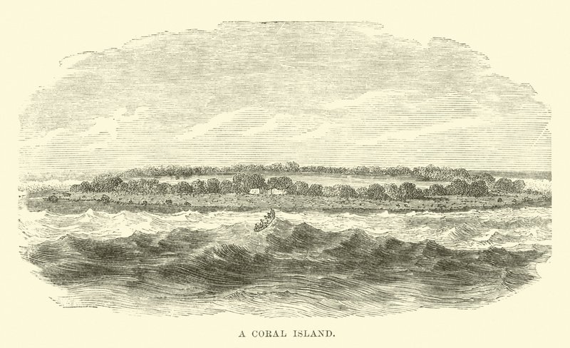 Une île de corail - English School