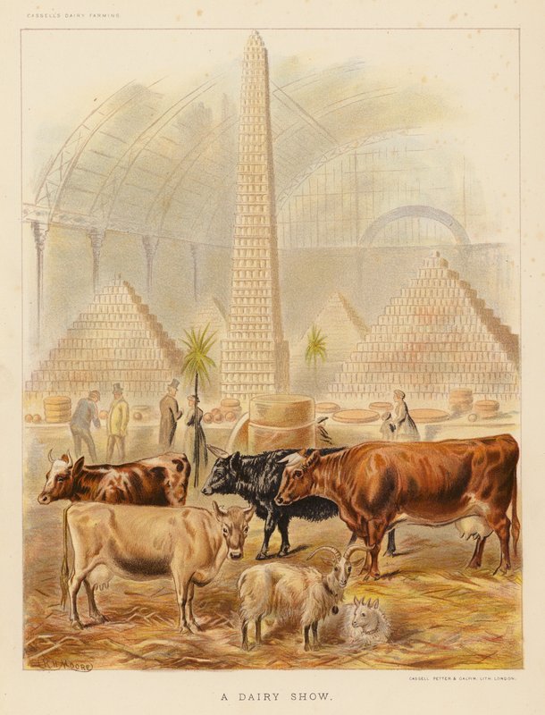 Une exposition laitière - English School