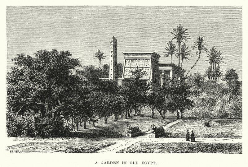 Un jardin dans l