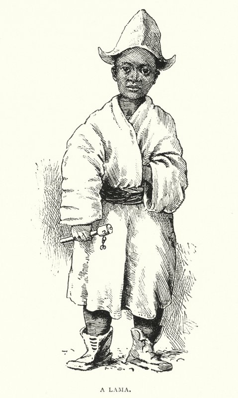 Un Lama (gravure) - English School