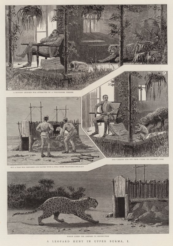 Une chasse au léopard en Haute-Birmanie, I - English School