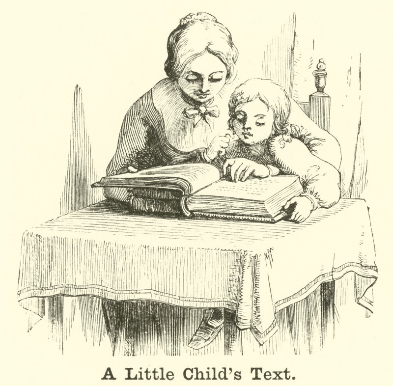 Un texte pour enfant - English School