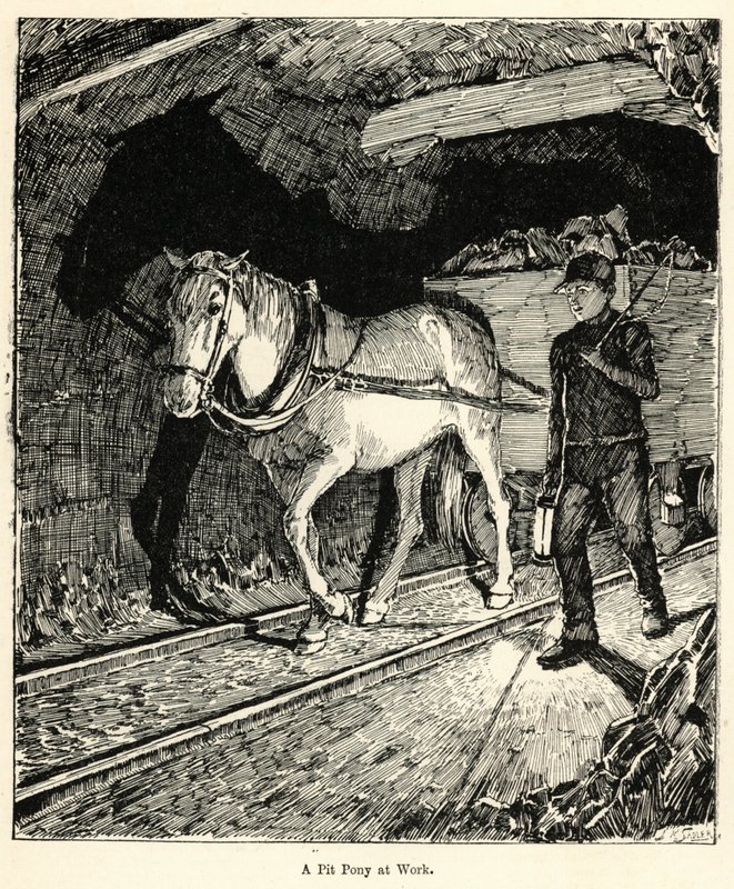 Un poney de mine au travail (gravure) - English School
