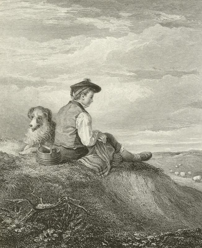 Un berger écossais - English School