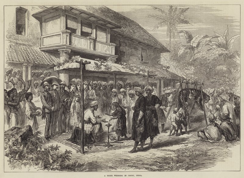 Un mariage de tigres à Coorg, Inde - English School