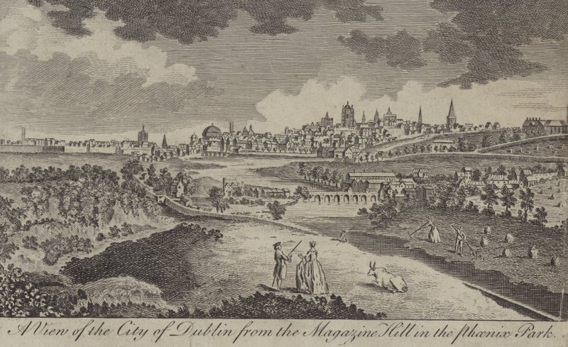 Vue de la ville de Dublin depuis Magazine Hill dans le Phoenix Park - English School