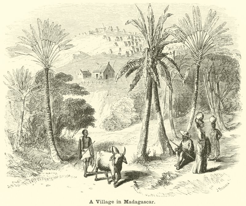 Un village à Madagascar - English School