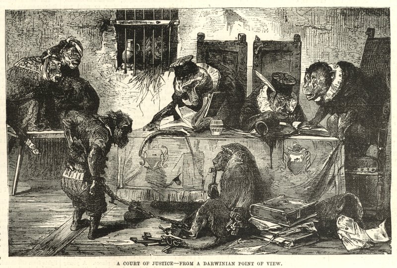 Un tribunal de justice du point de vue darwinien - English School