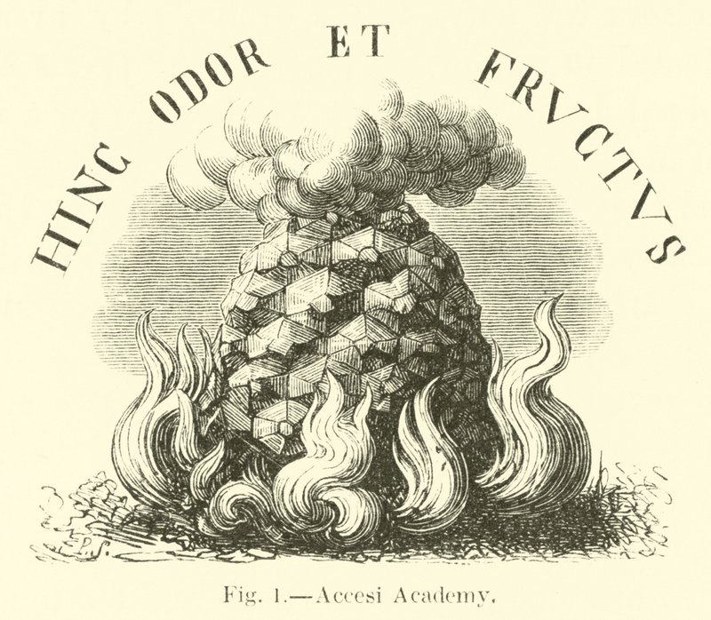 Académie Accesi - English School
