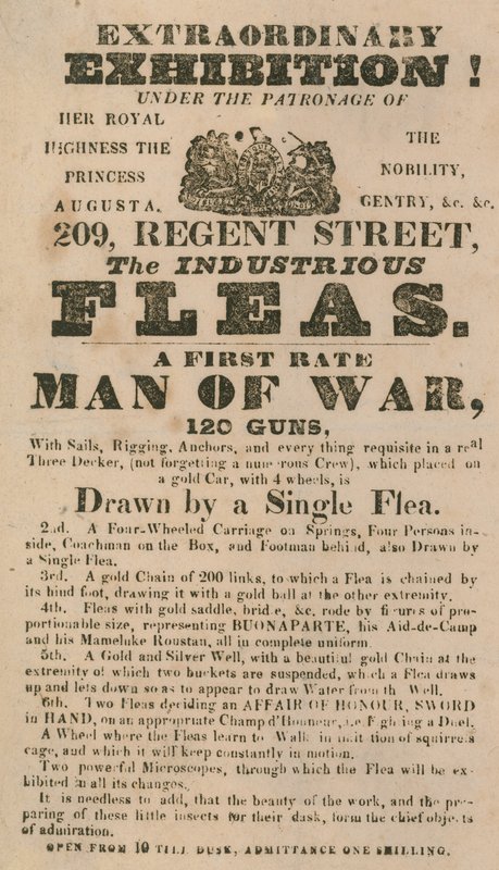 Publicité pour une exposition des Puces industrieuses - English School