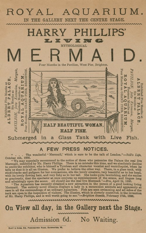 Publicité pour la Sirène Mythologique Vivante de Harry Phillips - English School