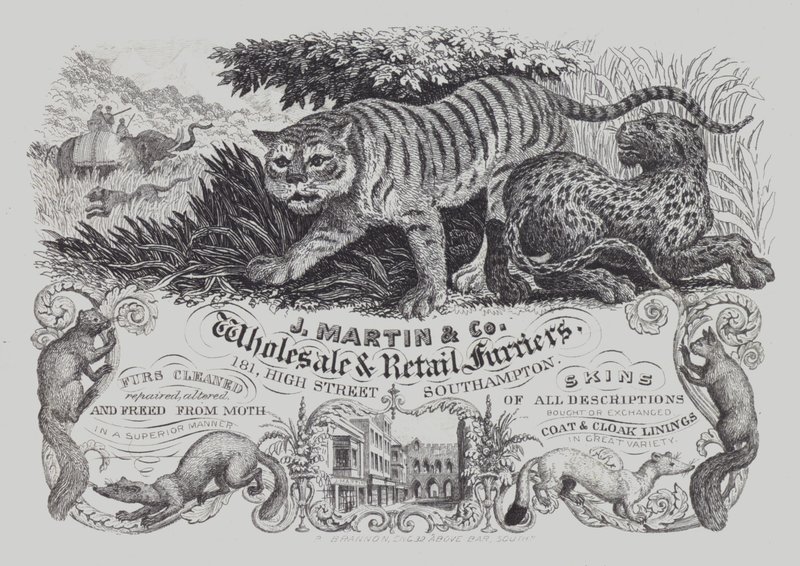 Publicité pour J Martin & Co, grossistes et détaillants en fourrures, Southampton, Hampshire - English School