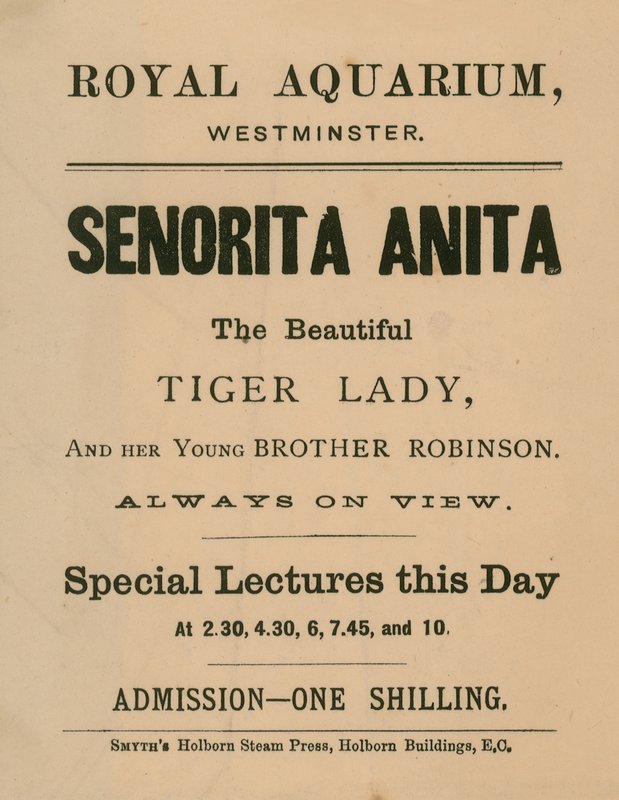 Publicité pour Senorita Anita - English School
