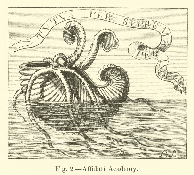 Académie Affidati - English School