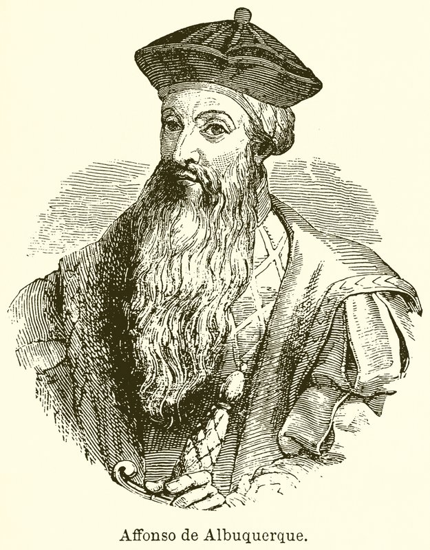 Affonso de Albuquerque - English School