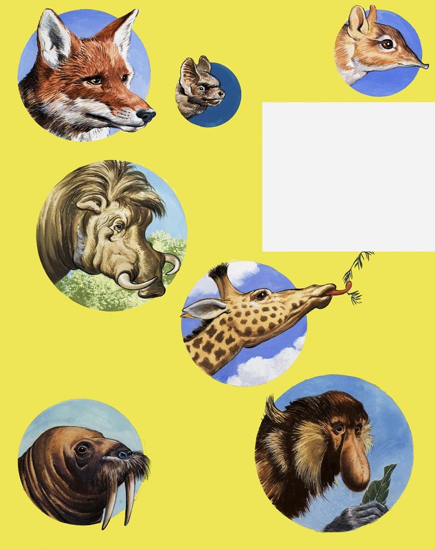 Toutes sortes de museaux et de groins - English School