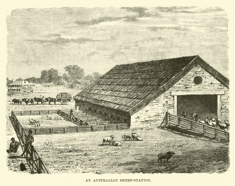 Une station de moutons australienne - English School