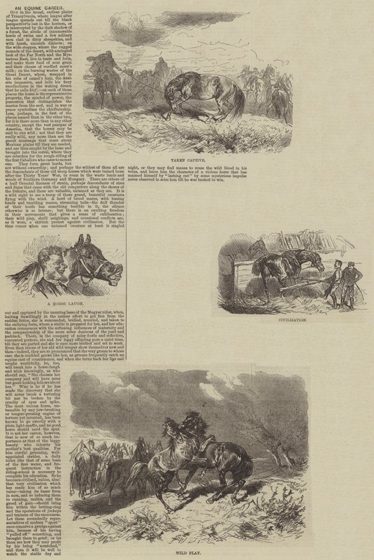 Une carrière équine (gravure) - English School