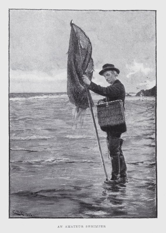 Un pêcheur amateur de crevettes (lithographie) - English School