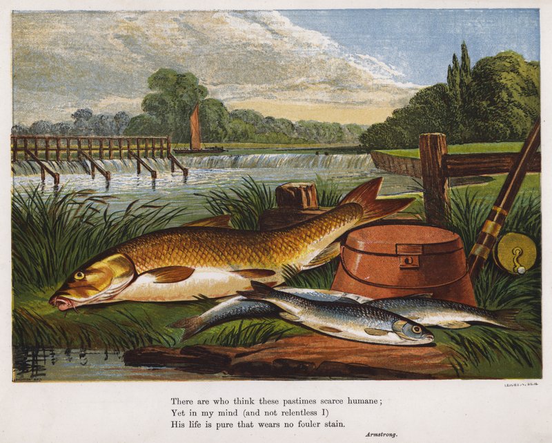 Pêcheur avec sa prise de poissons sur une rive - English School