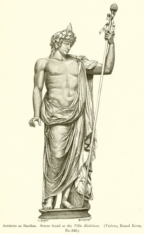 Antinoüs en Bacchus. Statue trouvée à la Villa Hadriana (Vatican, salle ronde, n° 540) - English School