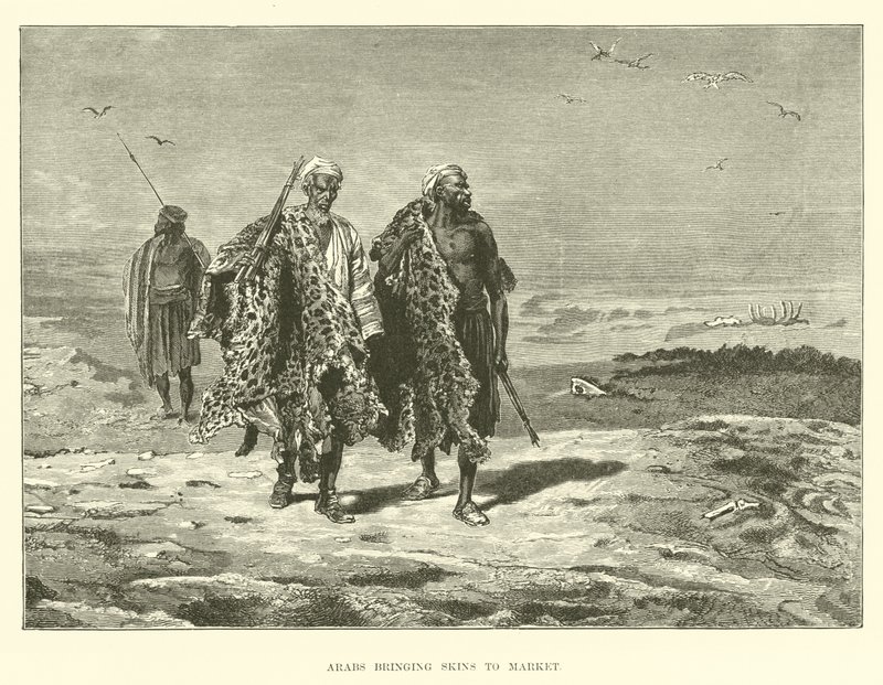Arabes apportant des peaux au marché - English School