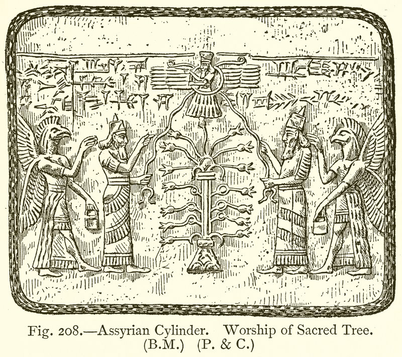 Cylindre assyrien. Adoration de l